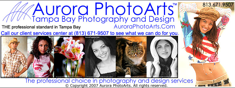 Tampa Bay photography services - Top Value and Professional quality