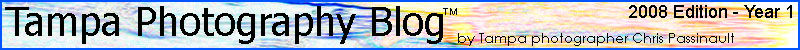 Tampa Photography Blog. An inside look at the Tampa photographer industry by the top Tampa photographer.