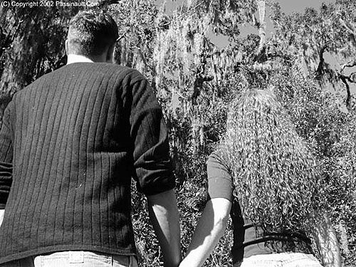 The young couple faces the spooky graveyard ahead of them. In this shot, the camera would have moved up ad away for a wide shot, showing the massive expanse of the cementary ahead of them. Once again, my actors help block out the scene in the first act.